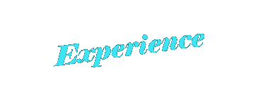 Text Box: Experience